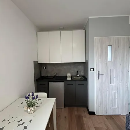 Borowska 268 Z Balkonem I Parkingiem Διαμέρισμα